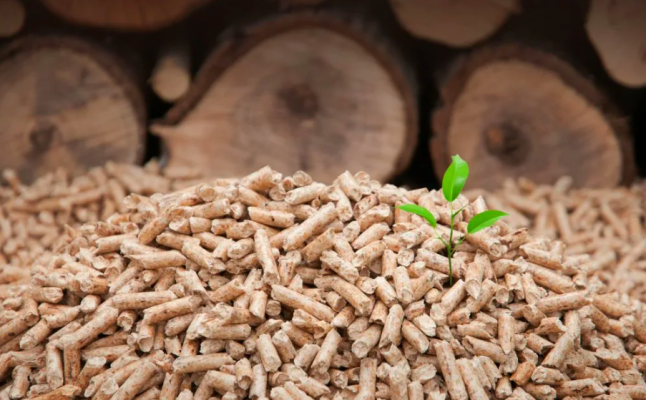 Wood Pellets Vs Other Energy Sources
