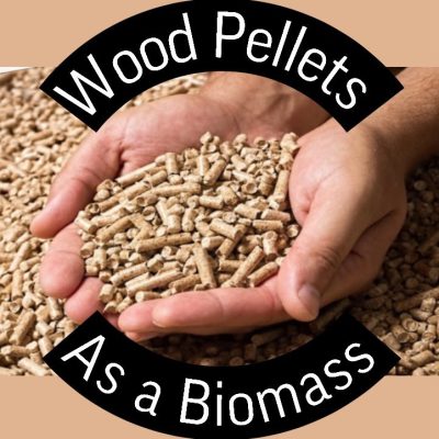 What Is Biomass