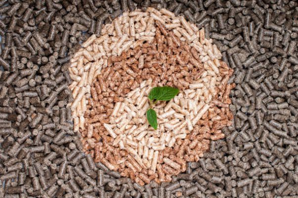 Wood Pellets Suppliers